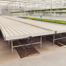 养花潮汐多层苗床温室蔬菜货架式苗床活动方便规格