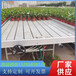 上海大棚移动潮汐ABS水培灌溉货架苗床可定制苗床尺寸