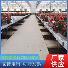上海温室种植苗床尺寸幼苗穴盘种植床固定热镀锌支架