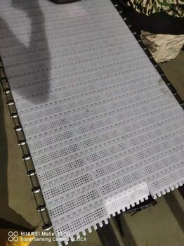 塑料網帶輸送帶定制擋板式尼龍鏈板pp食品級傳送帶