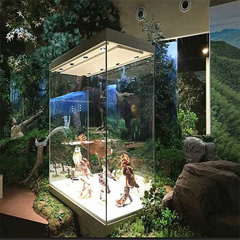 博物館非遺址收納展示柜私人文物收藏展示展覽柜
