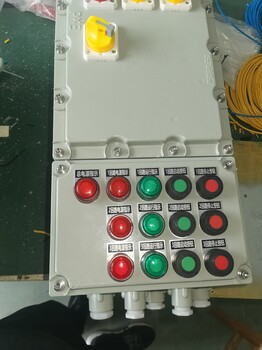 粉塵防爆檢修箱EXdeIIBT4遼飛防爆