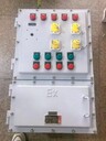 BXQ51防爆動力（電磁啟動）配電箱遼飛防爆