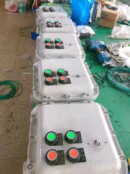 真空濾油機(jī)防爆配電箱
