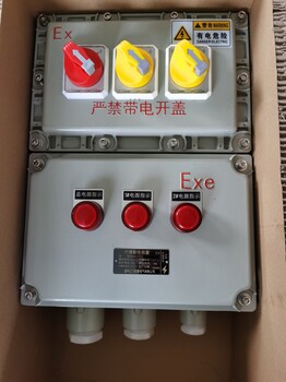 防爆漏電斷路器BLK52-20/4