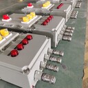 32A/380V防爆電源插座箱不銹鋼材質(zhì)遼飛防爆