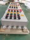 BXD-4/16K63防爆動(dòng)力配電箱鑄鋁防爆配電箱
