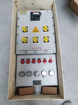 210*300*400明裝防爆配電箱