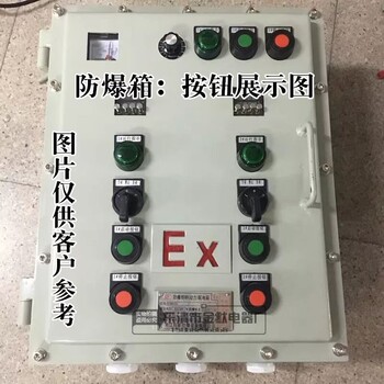 非標(biāo)定做工程塑料BXK防爆開關(guān)箱