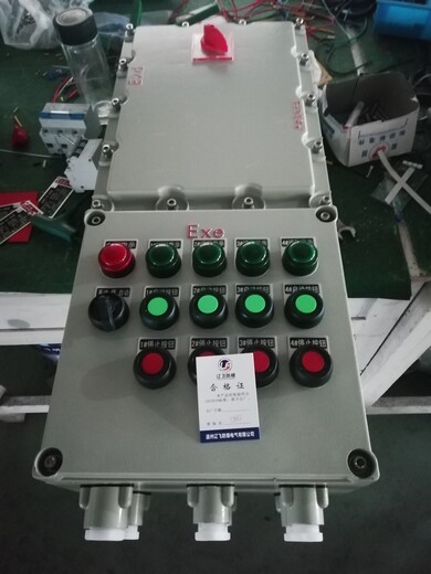 辽飞防爆BXM(D)51-设备远程控制防爆箱生产厂家