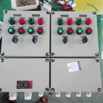 戶內(nèi)防爆電動(dòng)閥配電箱BXD53-T9