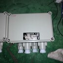 BXM51-10/25K125防爆電動(dòng)閥配電箱電源切換防爆配電箱