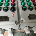 BXD51-4K40/100防爆型動(dòng)力配電箱電機(jī)防爆按鈕配電箱