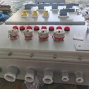BXMD-5防爆配電箱室內(nèi)防爆配電箱