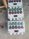 油站電機(jī)切換防爆箱風(fēng)機(jī)防爆動(dòng)力配電箱