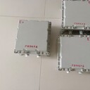 BJX51-T防爆接線箱生產(chǎn)廠家