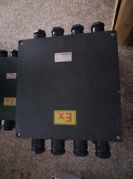 FXMD-S-8/125A三防照明動力配電箱