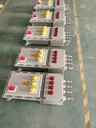 BZC8060-A1D1LWF2防爆防腐按鈕控制箱