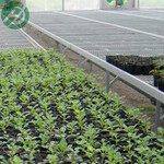 云南温室种植水稻花卉选择移动式苗床的好处河北苗床生产厂家