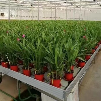 航迪潮汐苗床生产厂家ABS环保栽培床优于人工灌溉