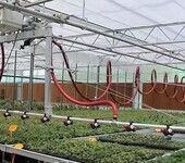 种植花卉育苗床航迪移动苗床厂家批发灌喷系统种植配套设施