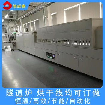 杭州隧道爐德輝泰生產(chǎn)設計定制節(jié)能型號DHT-86廠家設計