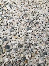 白色水磨石子1-2公分-水泥地坪水磨石白色碎石-白色砾石石子
