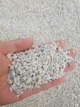 白云石3-5毫米-水磨石白石子透水米石-水处理白云石滤料