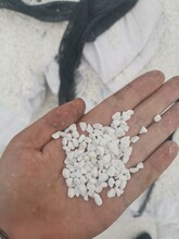 环氧水泥地坪白色骨料石子-有机水磨石白色砾石-地坪白色颗粒石子