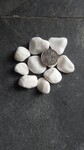 白色洗米石-星空白砾石-水晶白米石1-2公分-白色水磨石砾石