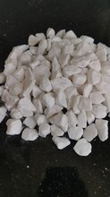 白色颗粒碎石砾石-大颗粒白石子1-2公分-白色破碎菱角石子