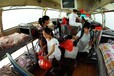客车：黄岛到宁晋的长途客车（专线客运）
