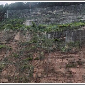 張口式柔性防護網高速護坡網山體邊坡被動防護網