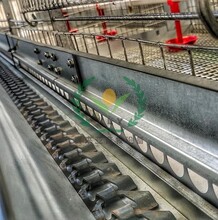 链条式喂料系统养鸡设备自动化蛋鸡笼层叠链条式鸡笼