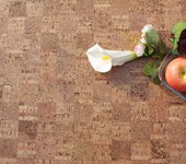 耐适佳软木地板—自然原色