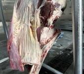 大型食品厂用解冻猪肉设备自动控制化冻仓冻肉化冻箱定制尺寸