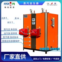 蒸汽发生器-0.3吨燃气蒸汽锅炉