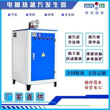 蒸汽发生器-水产加工加温