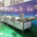 果蔬漂燙預(yù)煮流水線，食品外包裝巴氏殺菌設(shè)備