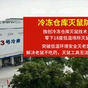 广州中山顺德江门冷冻仓库灭鼠防鼠低温食品仓库防治老鼠