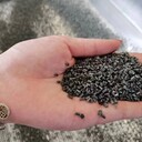 碳酸鈣母粒生產線_滑石粉母粒造粒機_硫酸鋇母粒造粒機代加工
