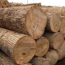 进口巴西木材一般人不告诉他的清关注意事项