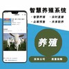 北京周邊農場小游戲app制作源碼漫云科技