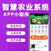 綦江农场小程序app制作漫云科技
