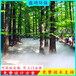 重庆景观园林人造雾森设备假山喷泉水景水雾喷雾系统喷嘴喷头