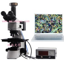 热台偏光显微镜-广州微域光学仪器有限公司