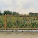 不锈钢仿竹护栏仿竹篱笆新农村建设菜园围栏花园围栏草坪栅栏青岛