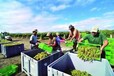 廣州出國(guó)務(wù)工澳大利亞搬運(yùn)工采摘工木工瓦工鋼筋工挖機(jī)塔吊司機(jī)