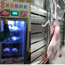 肉類解凍柜加溫加濕分階段控制解凍