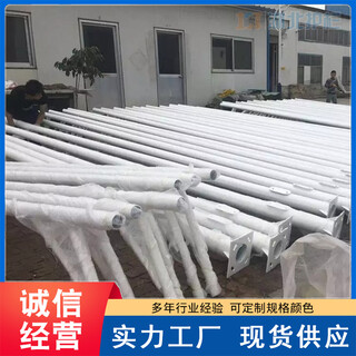 武汉汉南交通立杆太阳能监控灯灯杆工厂报价图片5